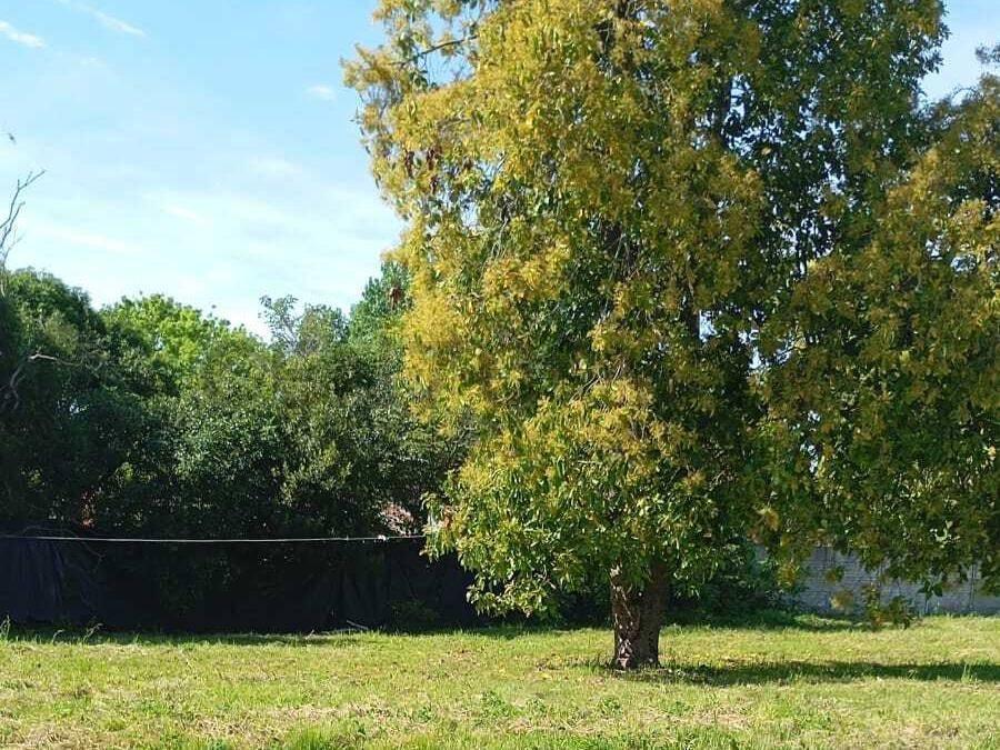 Foto de Lote en venta | Calle 37 e/ 126 y 127 | Berisso, imagen 2