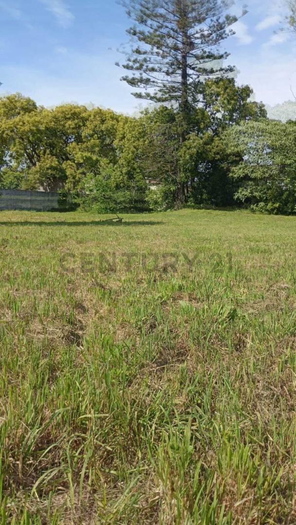 Foto de Lote en venta en Berisso | calle 37 e/ 126 y 127 | Berisso, imagen 1