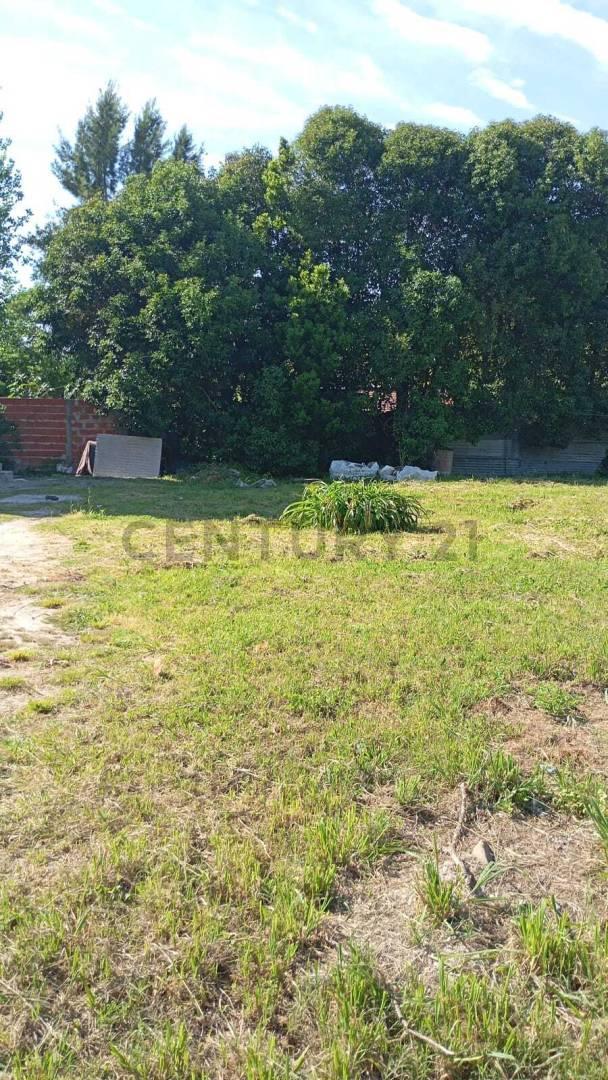 Foto de Lote en Venta Berisso | Calle 37 e/ 126 y 127, imagen 5
