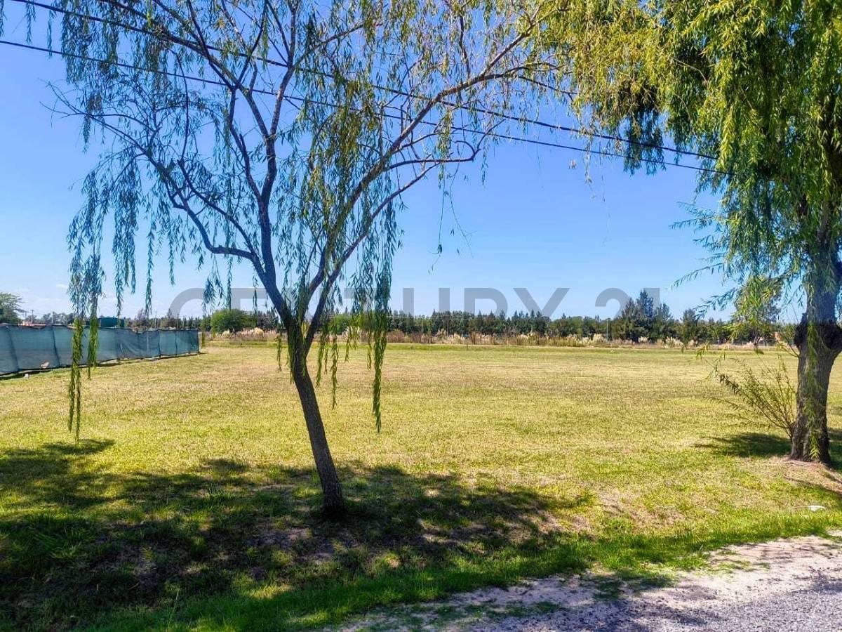 Foto de Brandsen ruta 2 Campo de roca ll - Lote N° en venta, imagen 4