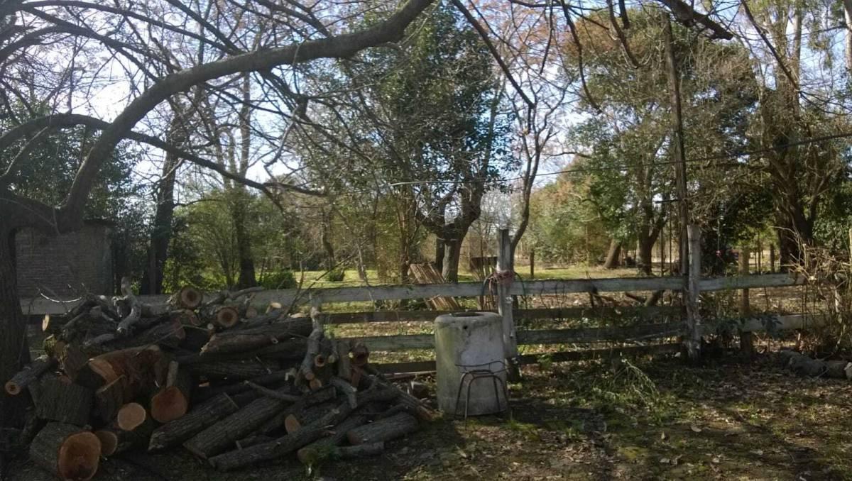 Foto de Calle 161 esquina 82 | Venta 1 hectárea - Los Hornos - USD 99.000, imagen 5