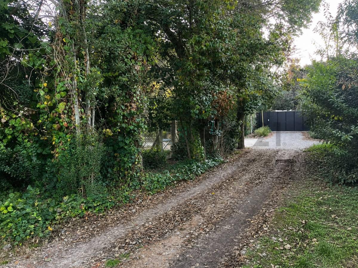 Foto de Lote en venta en Gonnet, imagen 4