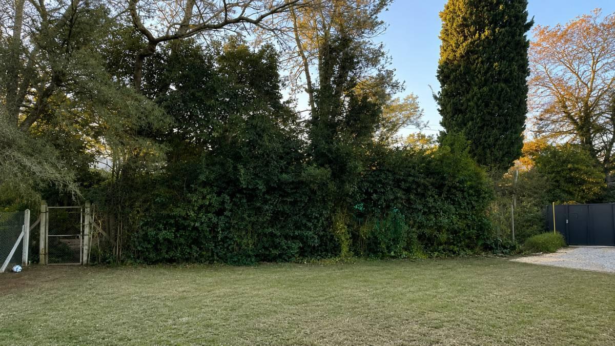 Foto de Lote en venta en Gonnet, imagen 1