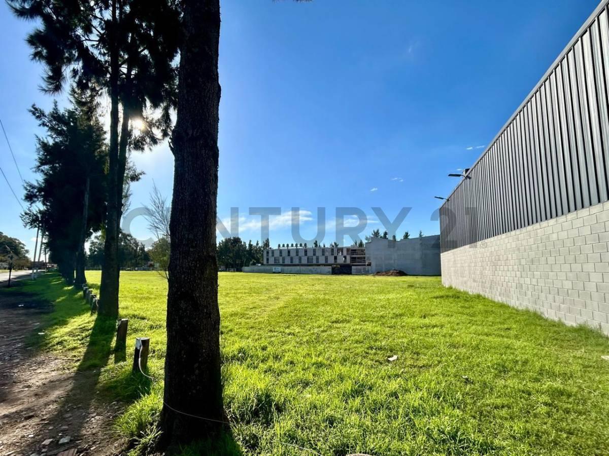Foto de 485 Y 138 – JOAQUÍN GORINA, LA PLATA - LOTE EN VENTA CON ESCRITURA, imagen 2
