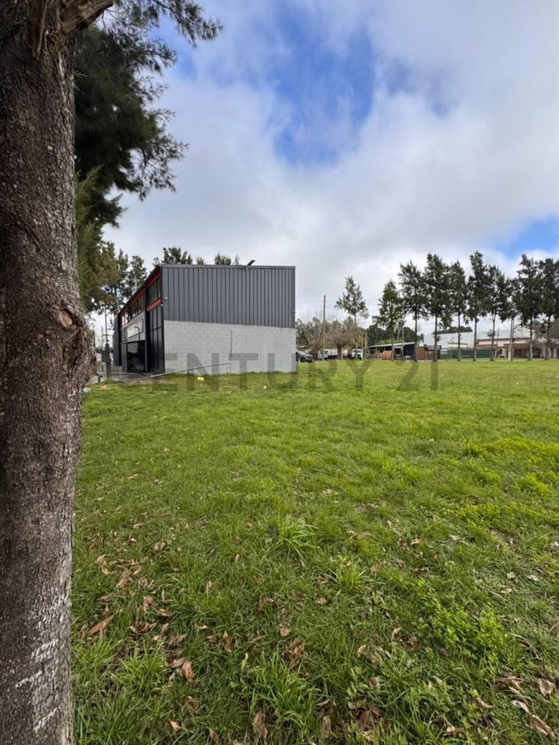 Foto de 485 Y 138 – JOAQUÍN GORINA, LA PLATA - LOTE EN VENTA CON ESCRITURA, imagen 5