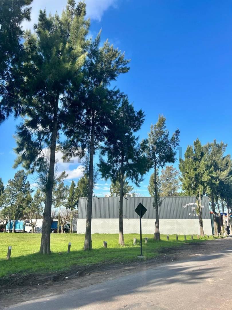 Foto de 485 Y 138 – JOAQUÍN GORINA, LA PLATA - LOTE EN VENTA CON ESCRITURA, imagen 3