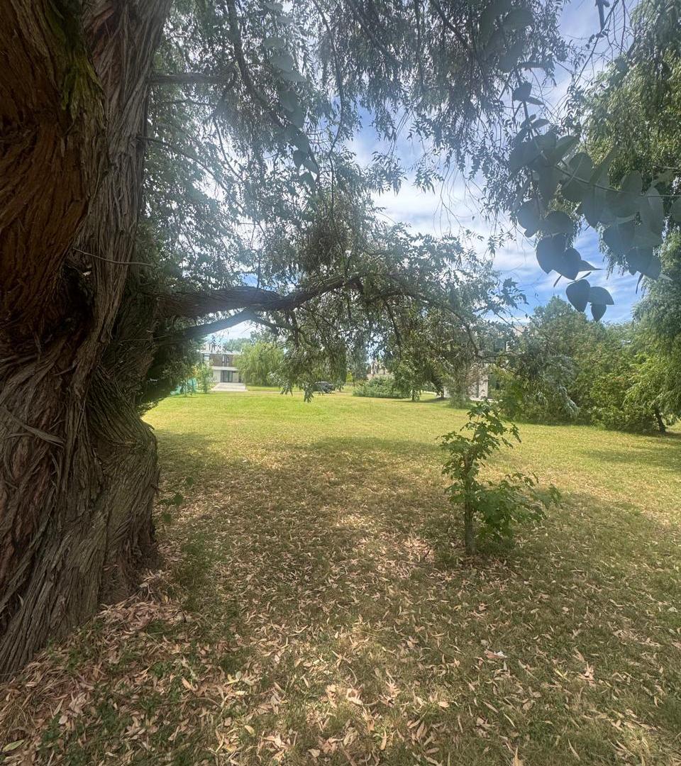 Foto de Terreno en venta en La Plata, imagen 2