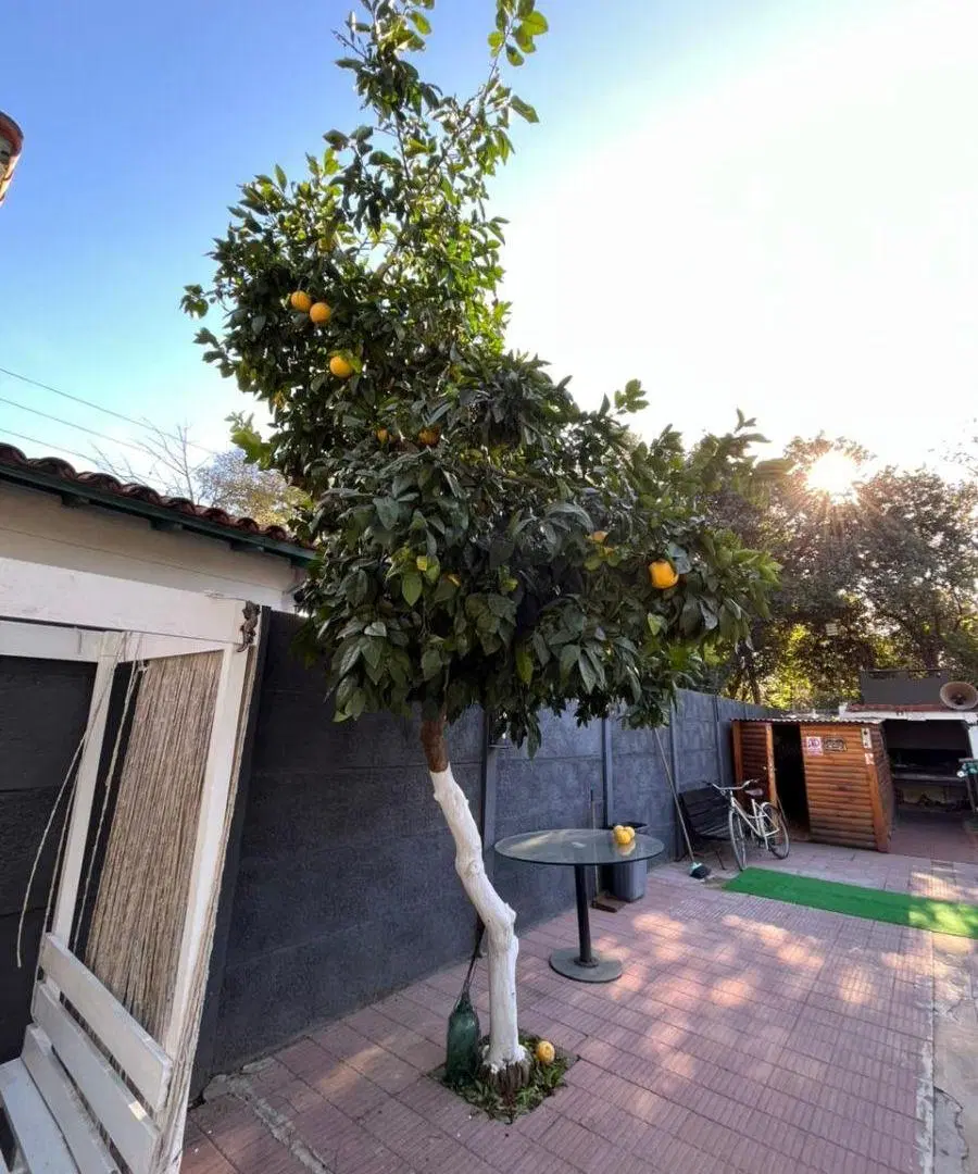 Casa en venta en Luzuriaga 3