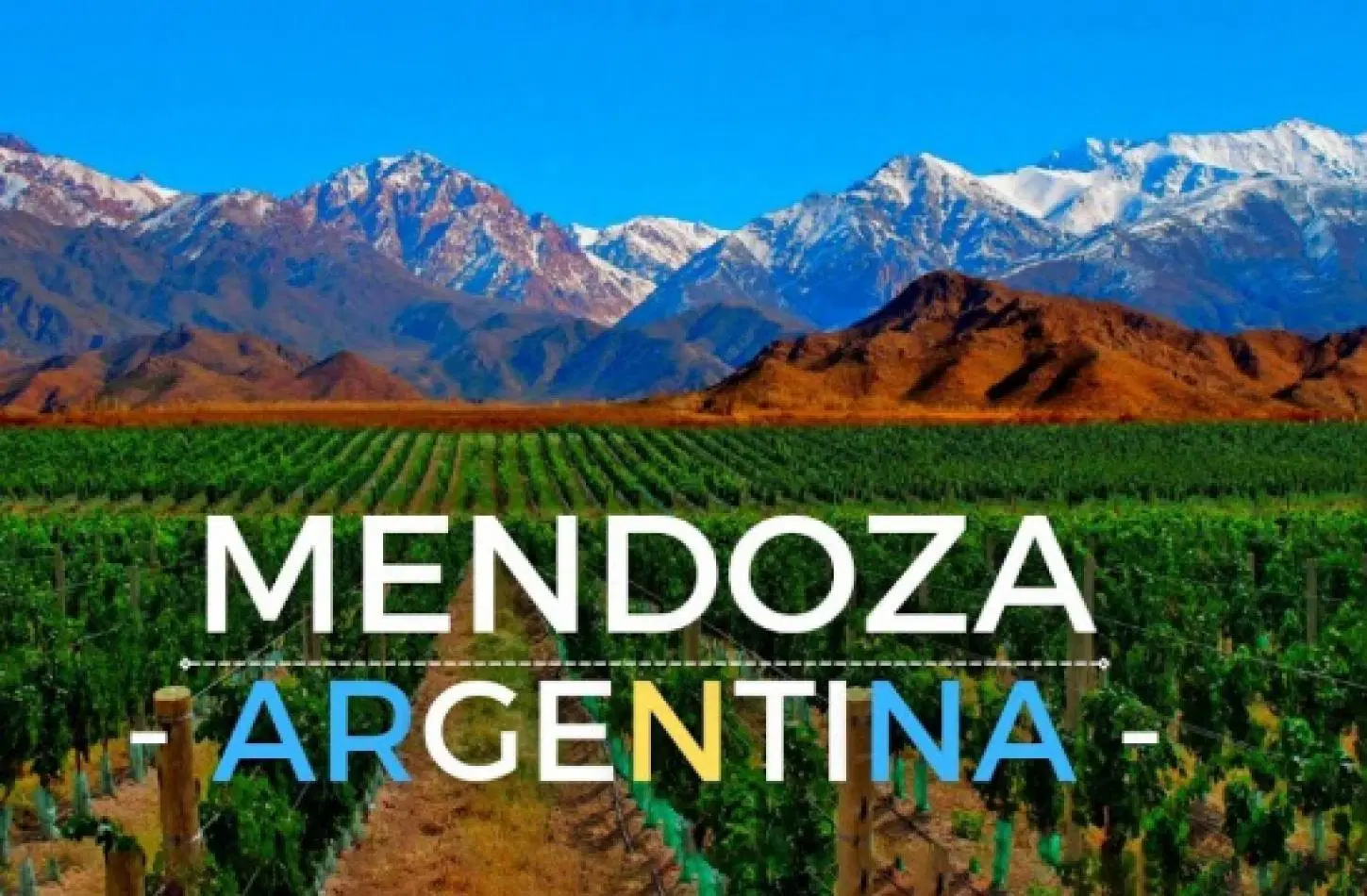Viñedo 294hra mas Bodega 94hra 1