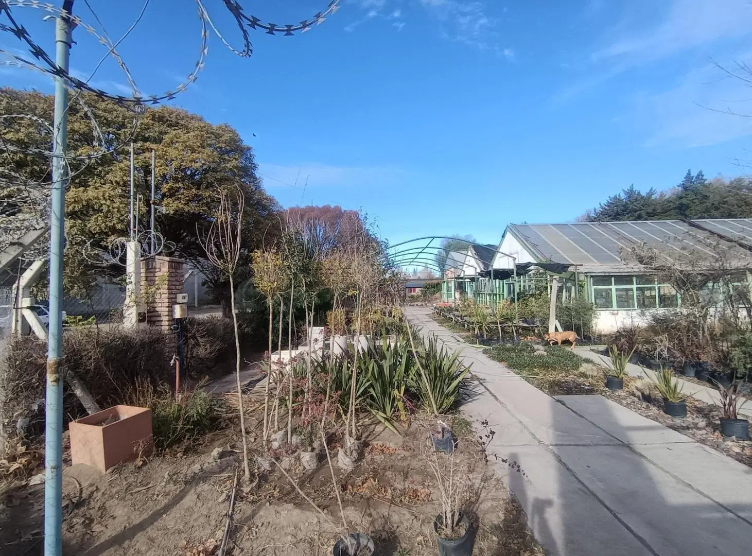 En venta lote frente a Ruta 22 Neuquén 4