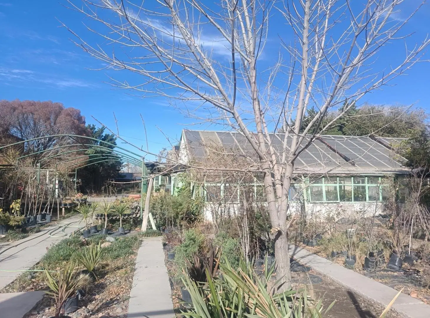 En venta lote frente a Ruta 22 Neuquén 2