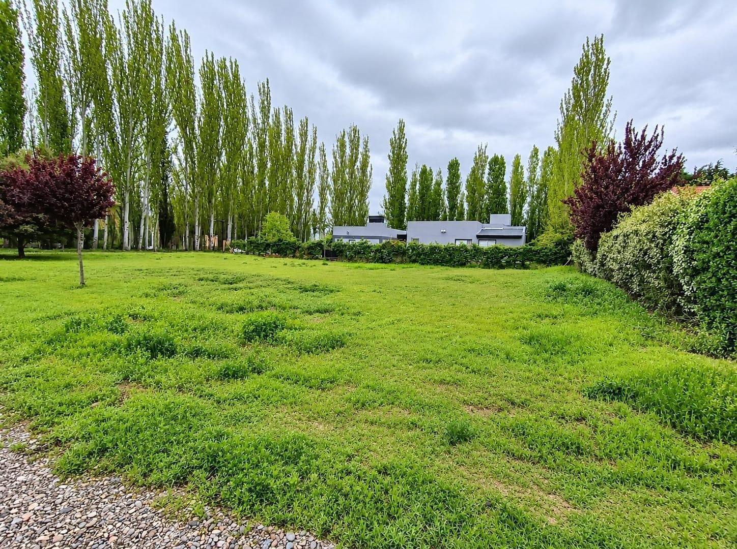 Foto de TerrenoEn venta Lote en Barrio Privado - Los Cedros Plottier, imagen 2