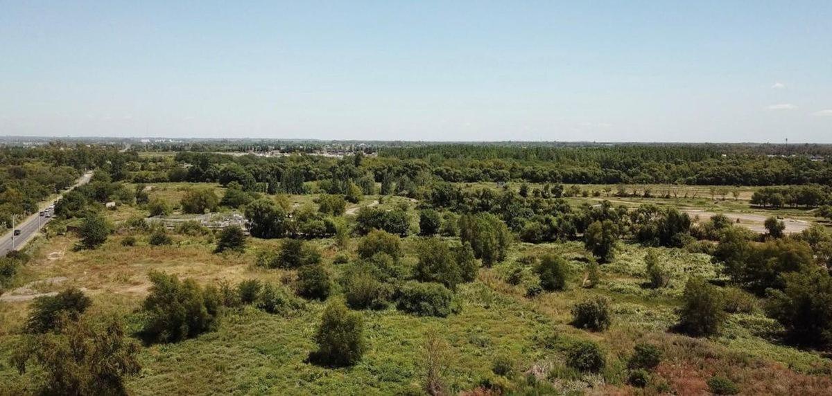 LOTE EN VENTA BARRIO SAN PEDRO- BENAVIDEZ