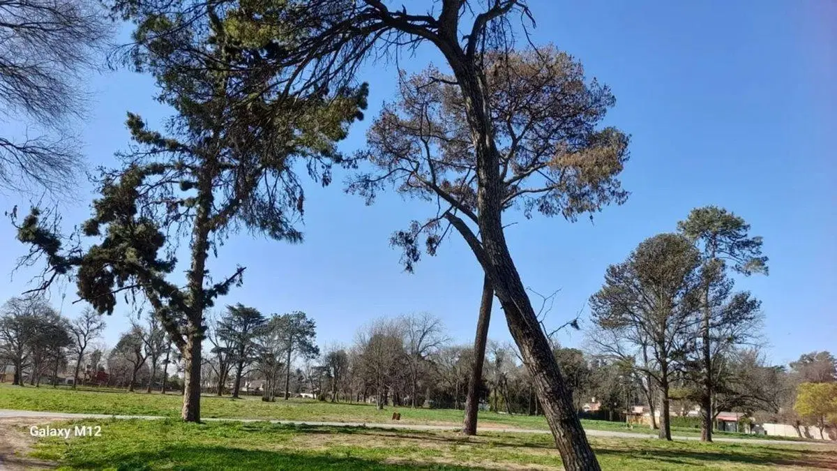 Lote 433 m2 en Venta Barrio El Remanso Del Viso 3