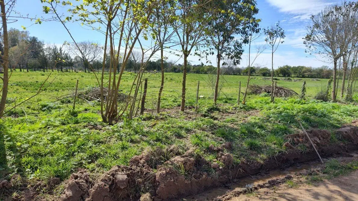 Lote de 610 m² en B° Parque El Ombú – Los Cardales 5