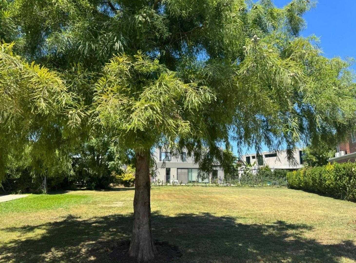 Foto de VENTA LOTE CENTRAL AYRES PLAZA- COMUNIDAD 10, imagen 5