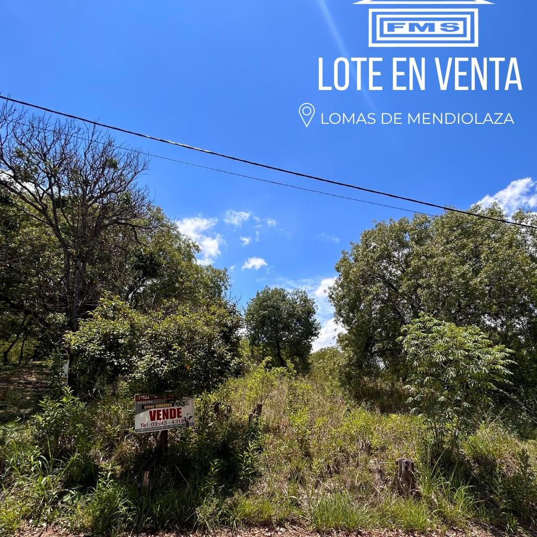 LOTE BALDIO EN VENTA - MENDIOLAZA