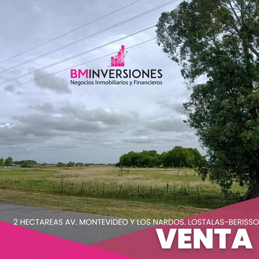 VENTA 2 HECTAREAS S/AV. MONTEVIDEO Y LOS NARDOS. LOS TALAS BERISSO