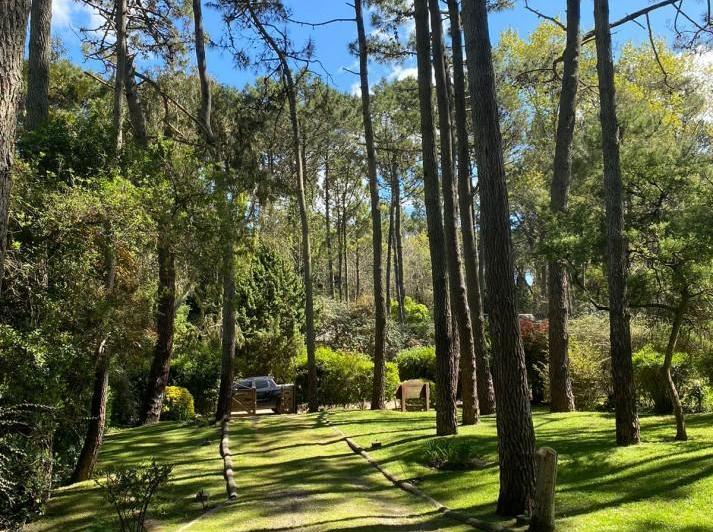 Propiedad Estilo tradiconal en Alquiler en Carilo 4