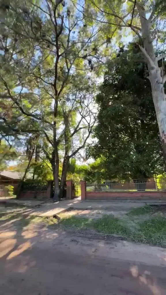 Casa + Qincho en Colonia Benitez 2