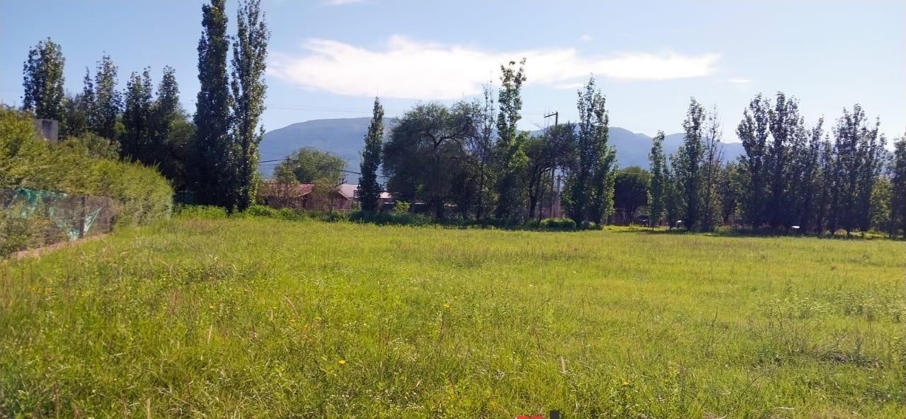 Foto de TERRENO CAMINO A SAN AGUSTIN- CAPIASU, imagen 4