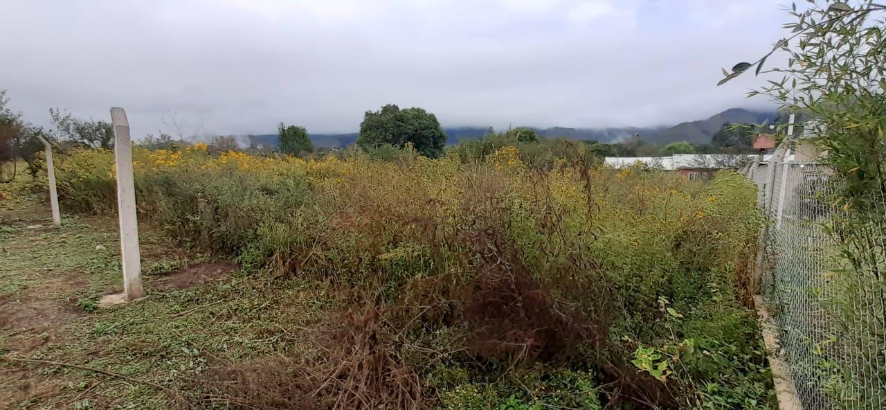 TERRENO EN CALDERILLA
