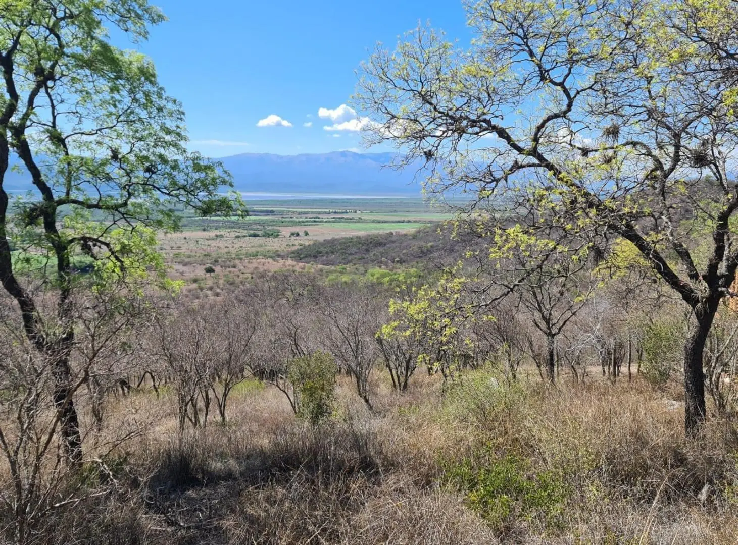 Terreno en venta Coronel Moldes 2