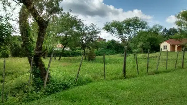 Terreno en San Lorenzo, calle Colombia 3