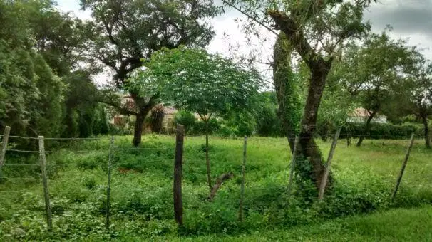 Terreno en San Lorenzo, calle Colombia 2