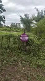 Terreno en El Galpón 4