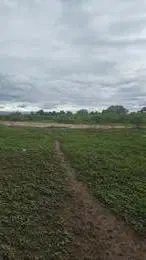 Terreno en El Galpón 5