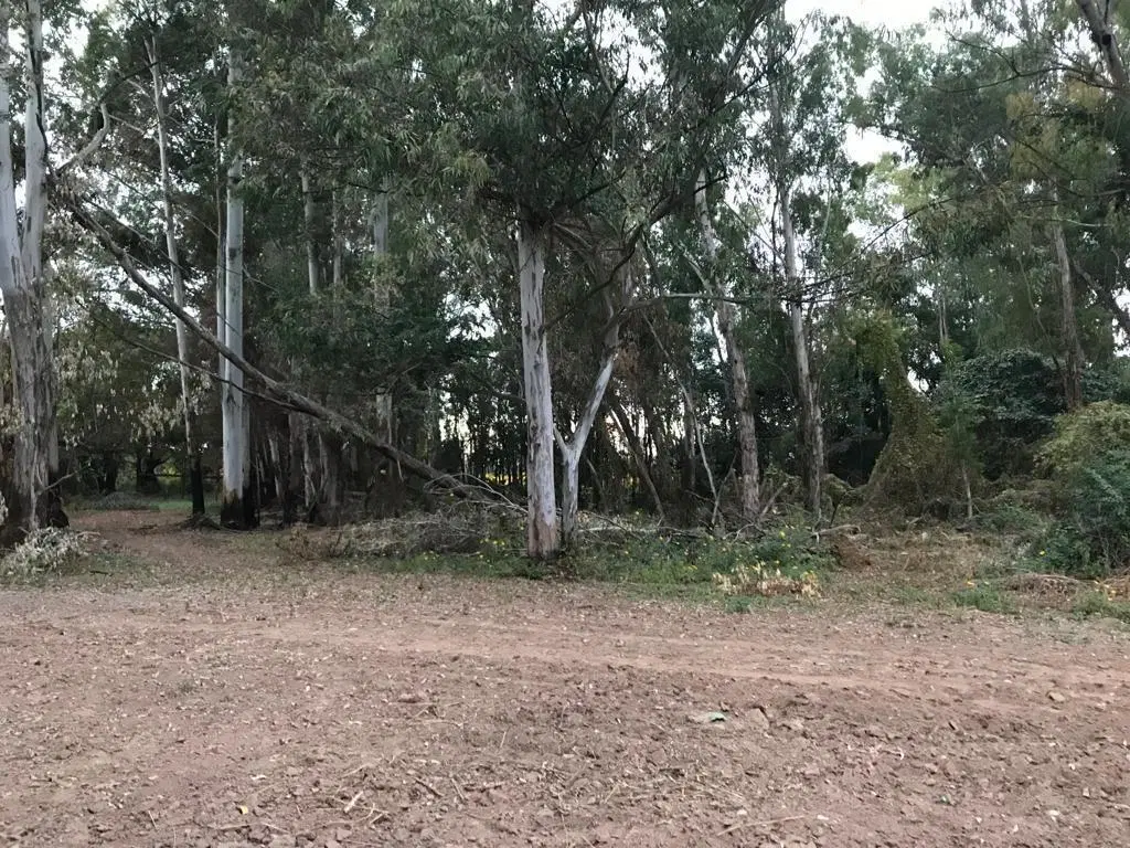 Chacra en  venta Rosario de lerma. Finca Carabajal 2