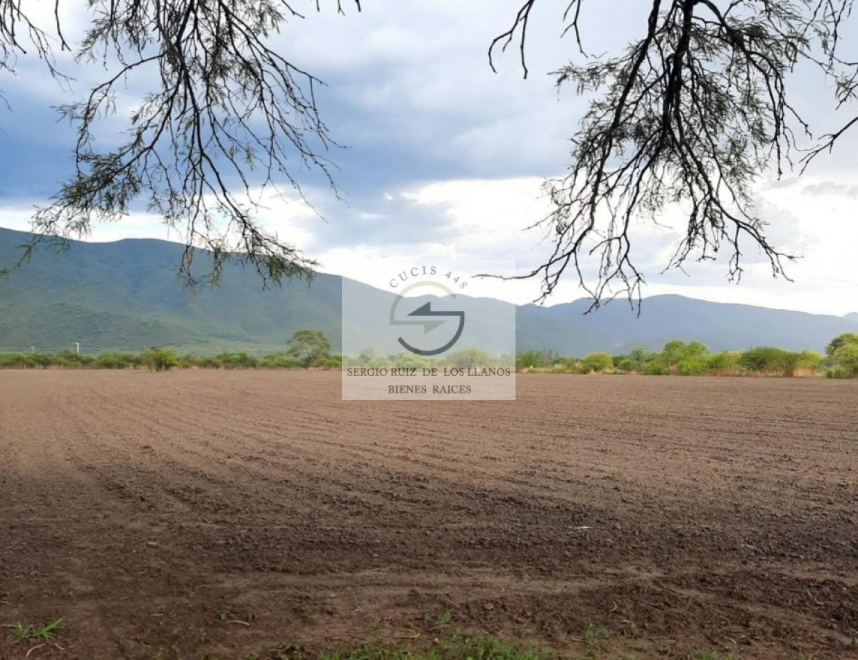 Foto de Terreno en venta zona La Isla. Ruta 26 km 12, imagen 3