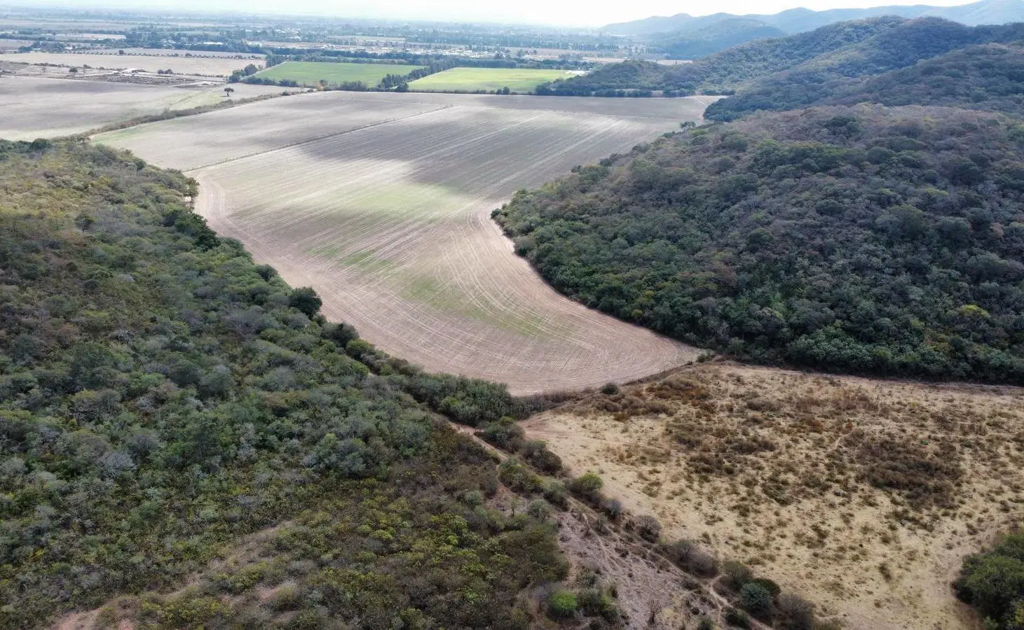 Finca en  VENTA (24Has) Localidad La Merced. SALTA 5