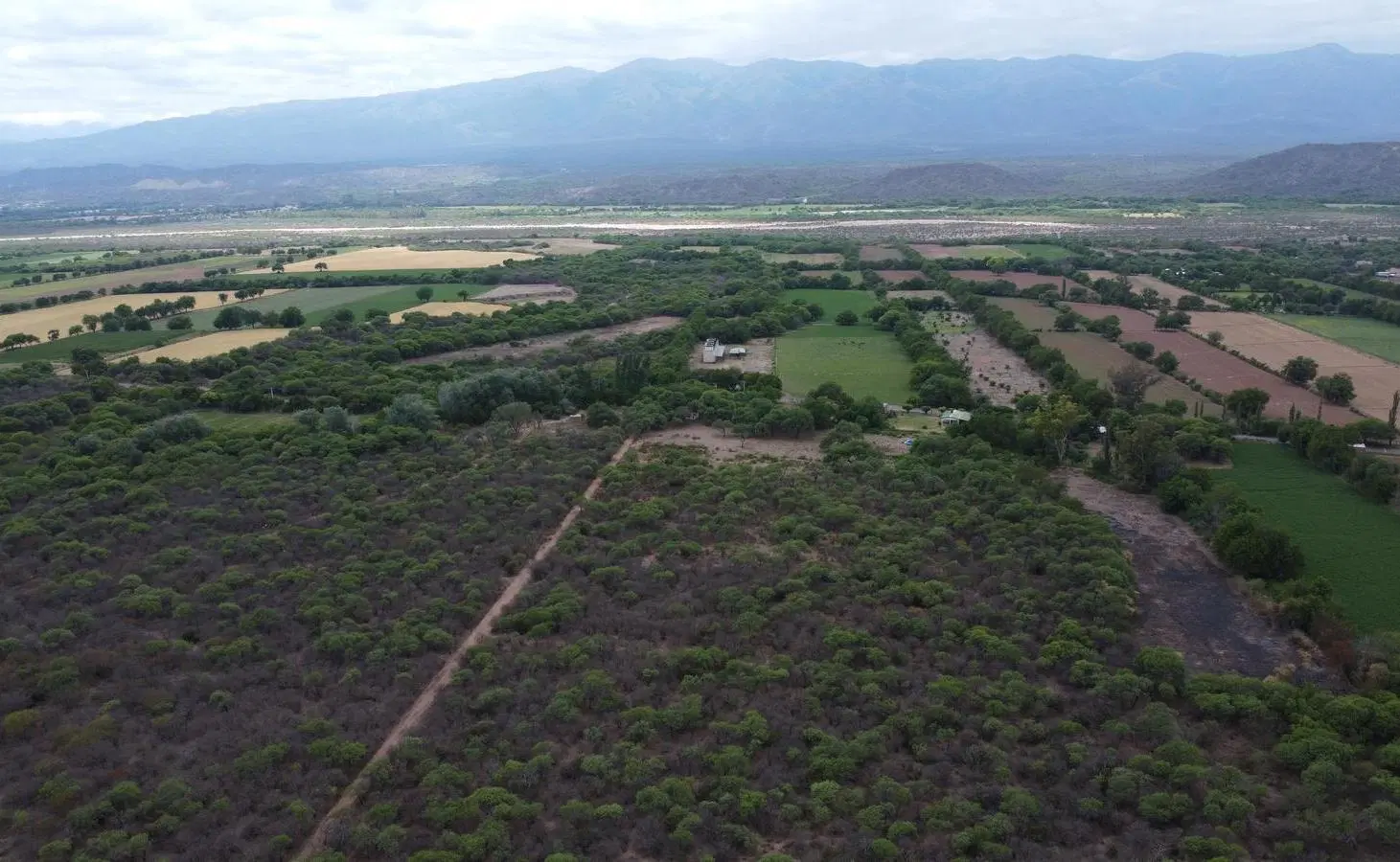VENTA FINCA 34 HECTAREAS EN TALAPAMPA, SALTA 5