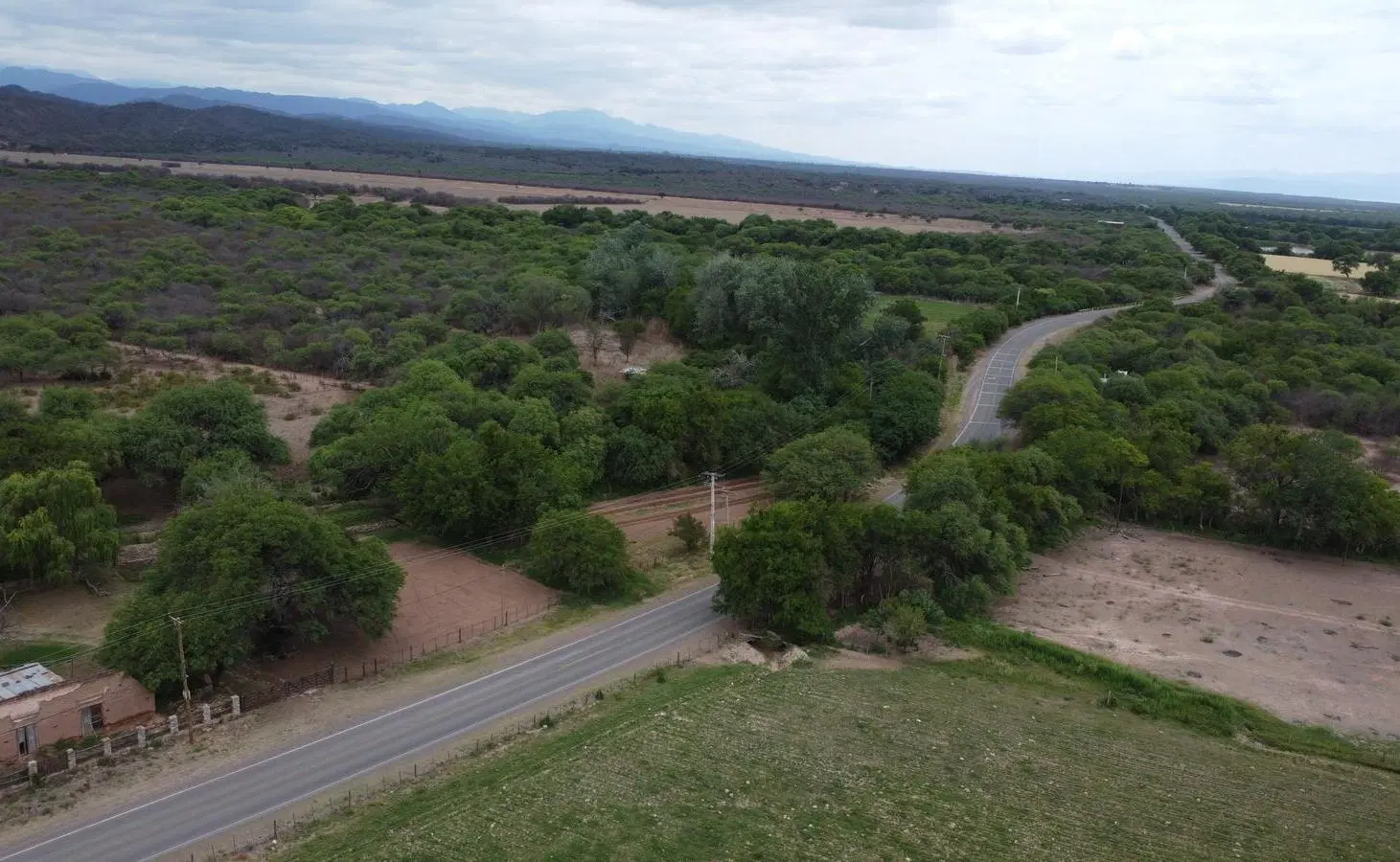 VENTA FINCA 34 HECTAREAS EN TALAPAMPA, SALTA 3