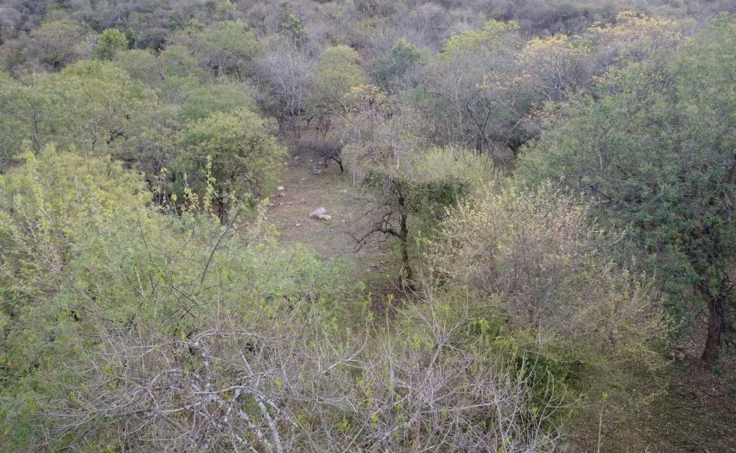 Terreno en venta La Hoyada de Castellanos. San Lorenzo 4