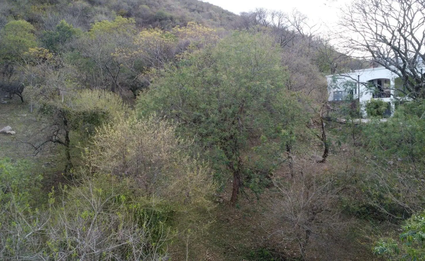 Terreno en venta La Hoyada de Castellanos. San Lorenzo 5
