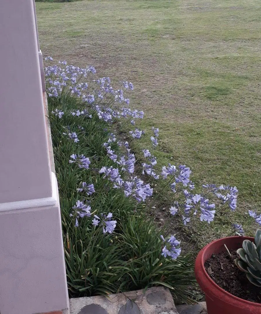Chacra de una hectarea con casa en Camara Quijano 3