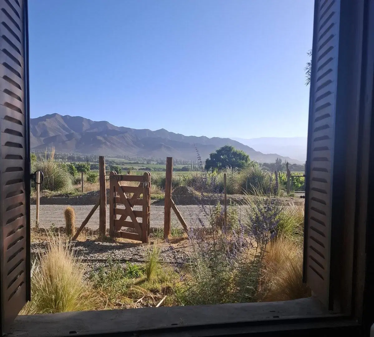 2 modulos de CABAÑAS EN VENTA 4