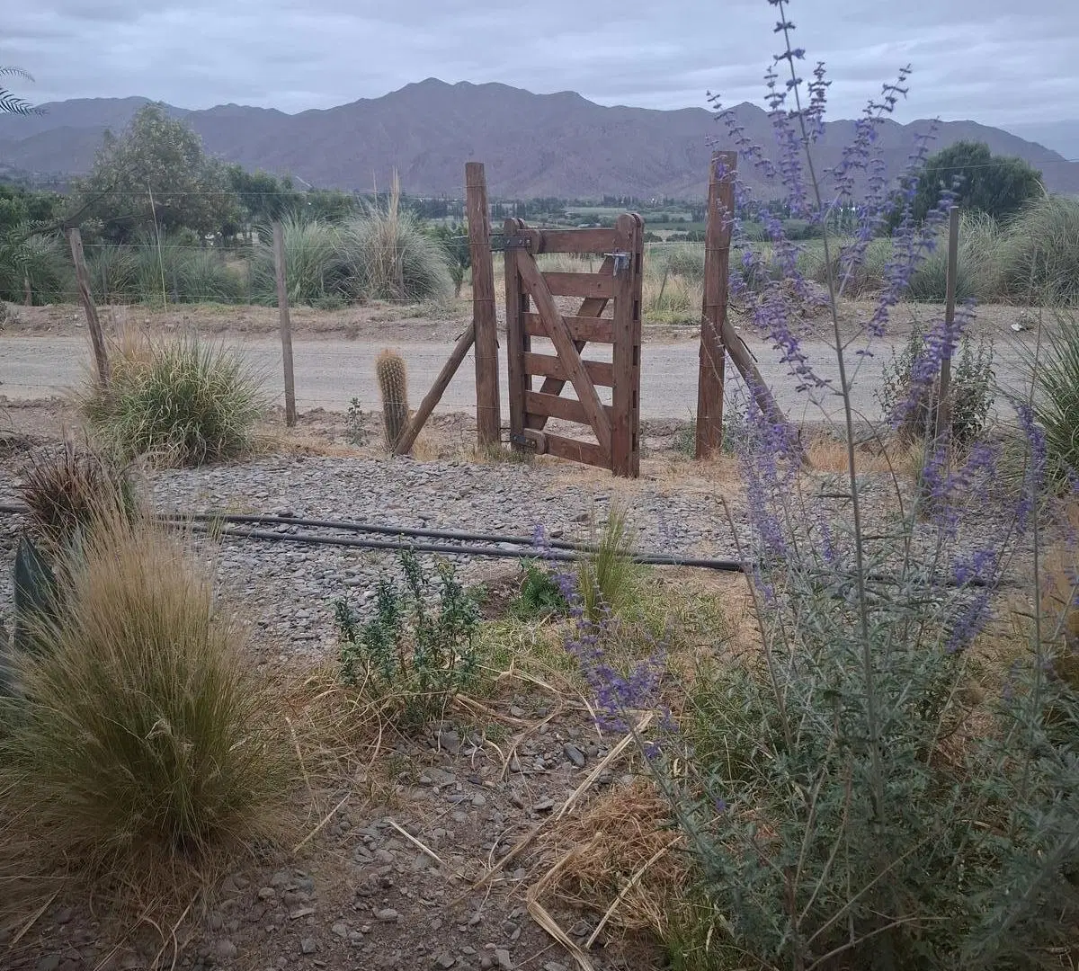 2 modulos de CABAÑAS EN VENTA 5