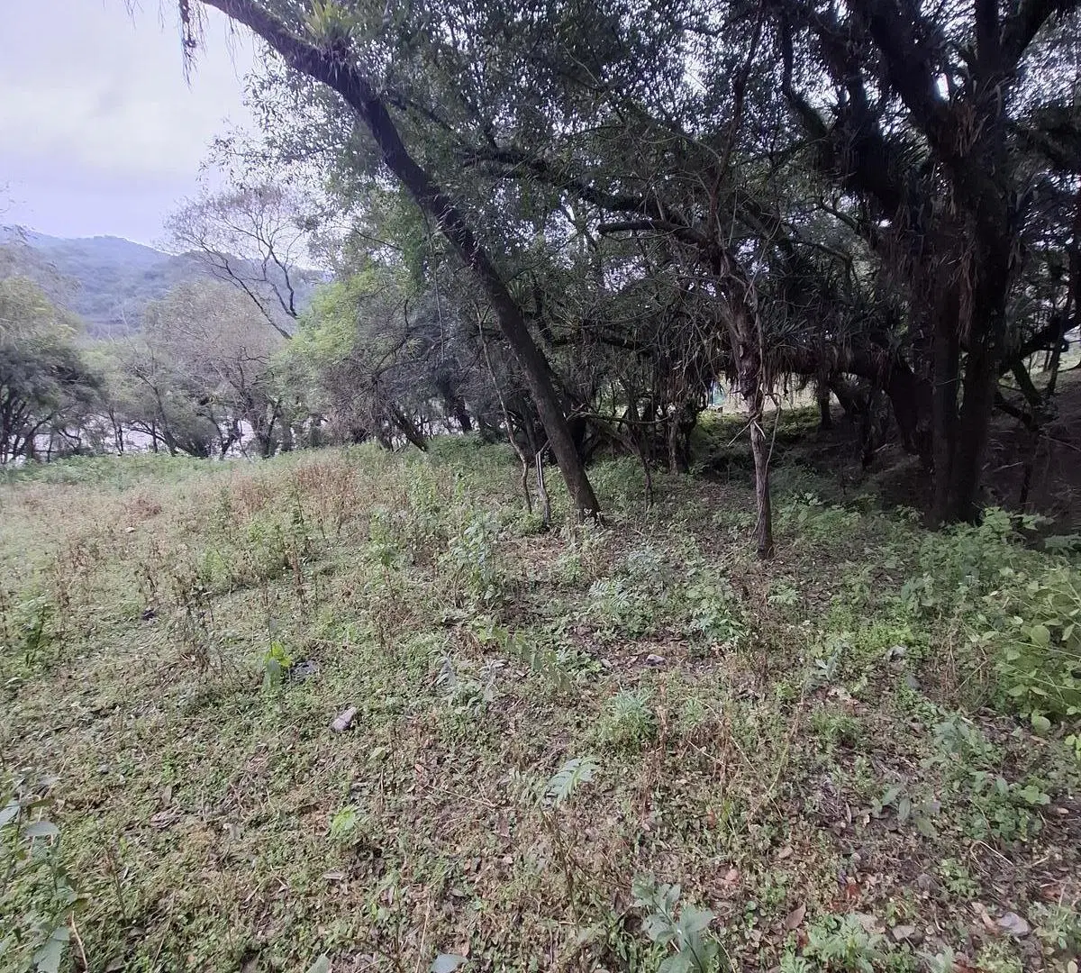 Chacra 27000 m2 venta Vaqueros 3
