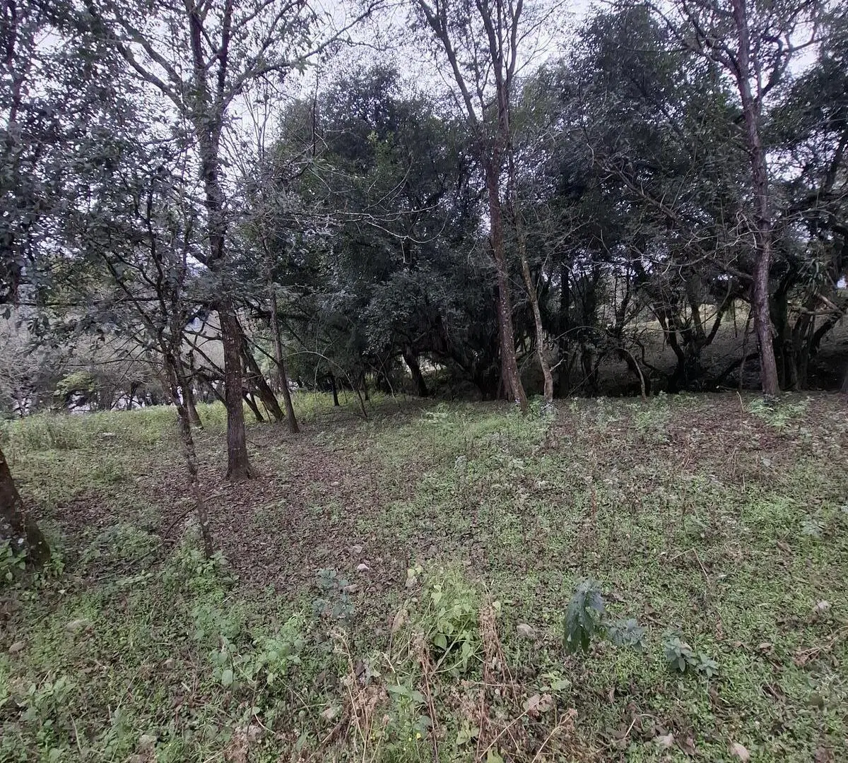 Chacra 27000 m2 venta Vaqueros 5