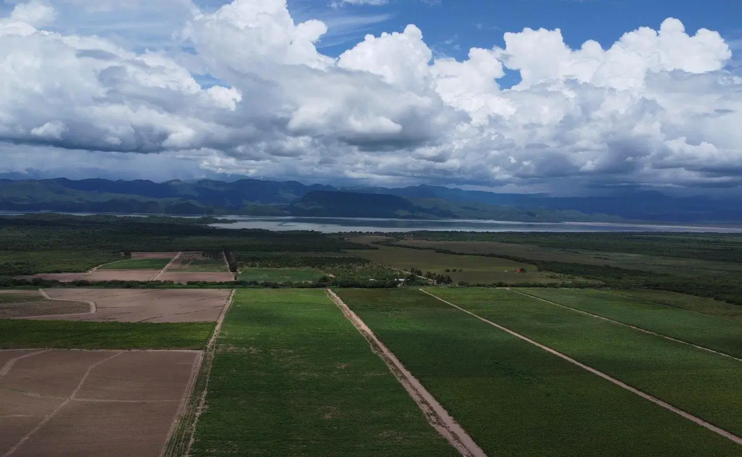 Finca en venta de 1500 hectareas Coronel Moldes, La Viña, Salta 3