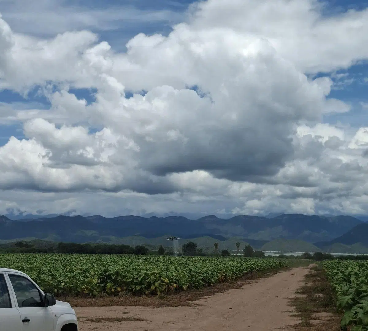 Finca en venta de 1500 hectareas Coronel Moldes, La Viña, Salta 8