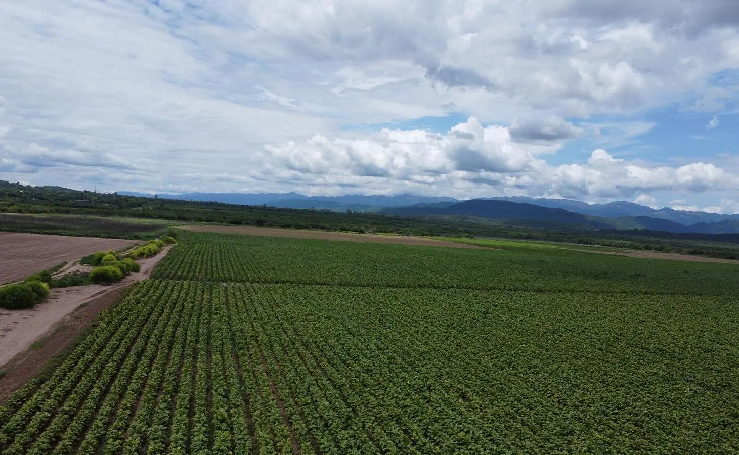 Finca en venta de 1500 hectareas Coronel Moldes, La Viña, Salta 2