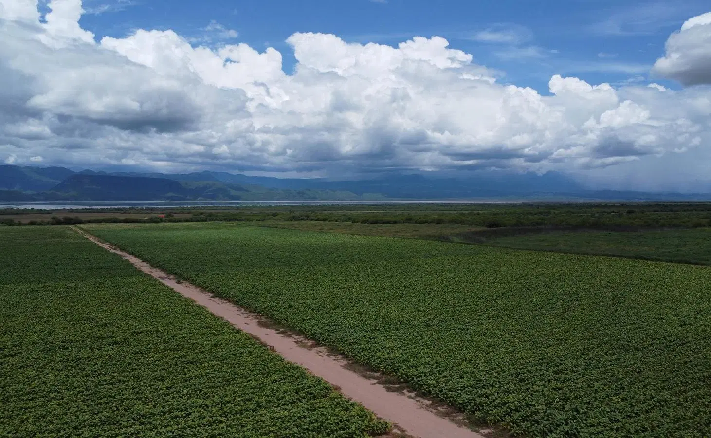 Finca en venta de 1500 hectareas Coronel Moldes, La Viña, Salta 4
