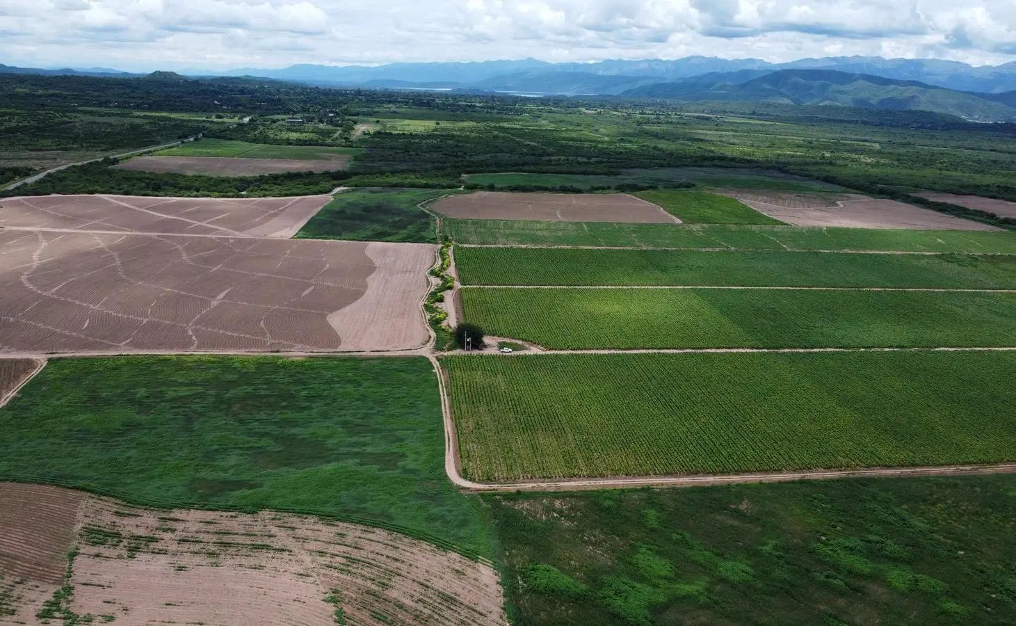 Finca en venta de 1500 hectareas Coronel Moldes, La Viña, Salta 5