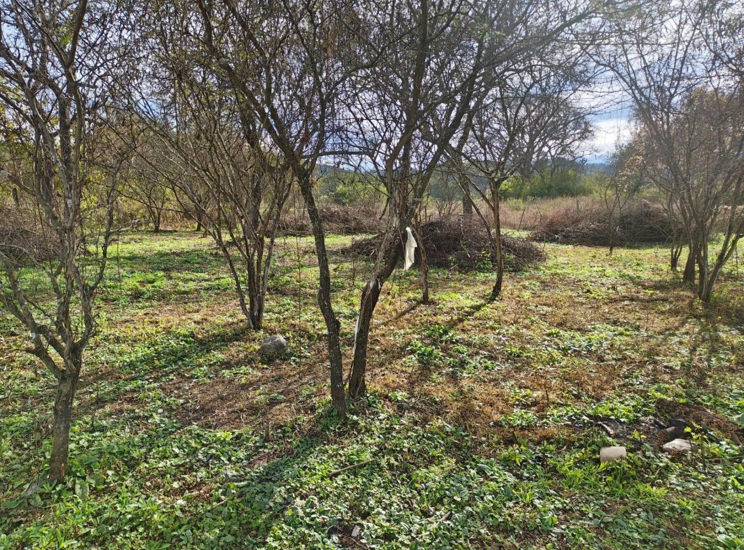 Foto de Terreno en Vaqueros, imagen 5