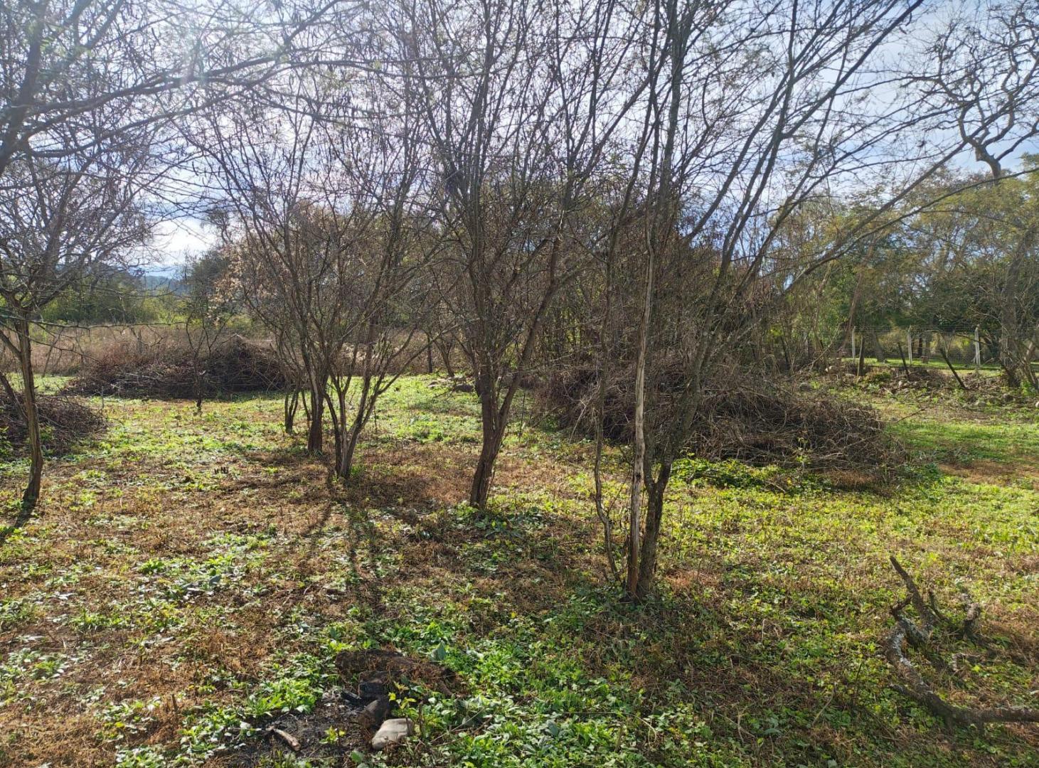 Foto de Terreno en Vaqueros, imagen 2